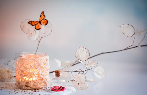 Dry plants, butterfly and candle