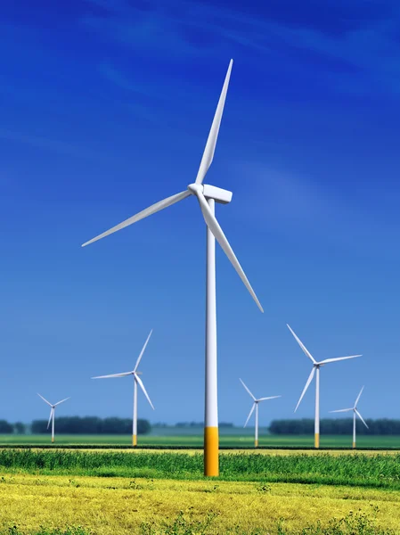 Meadow with Wind turbines l