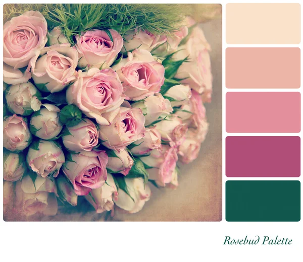 Rosebud palette