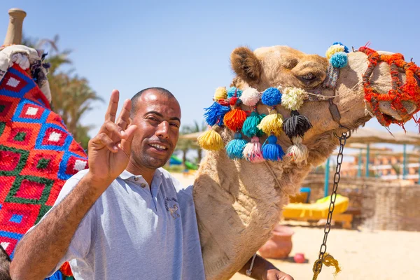 Man offering camel ride on the beach of Hurghada