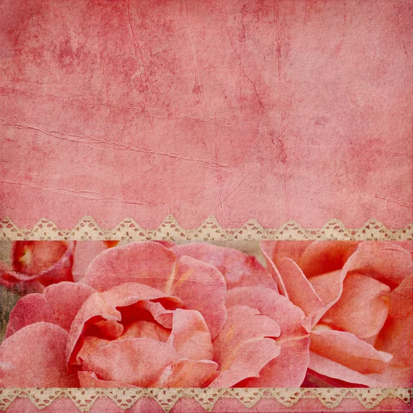 Beautiful pink background with horizontal roses banner