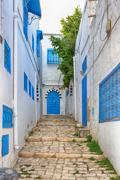 Side street at Sidi Bou Said, Tunis, Tunisia