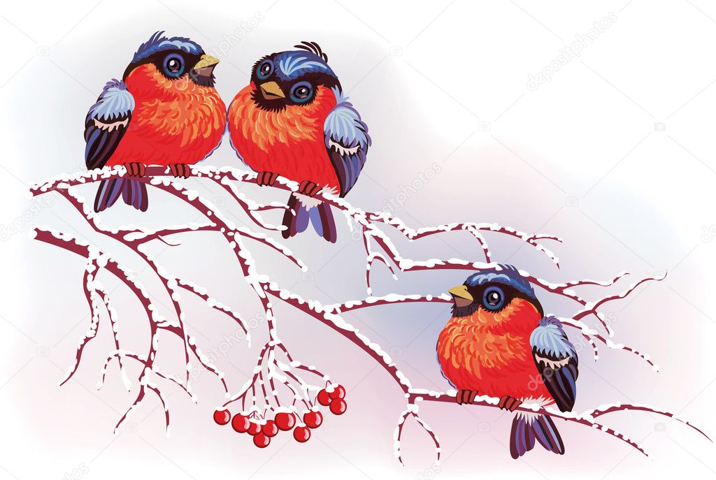 winter birds clipart - photo #11