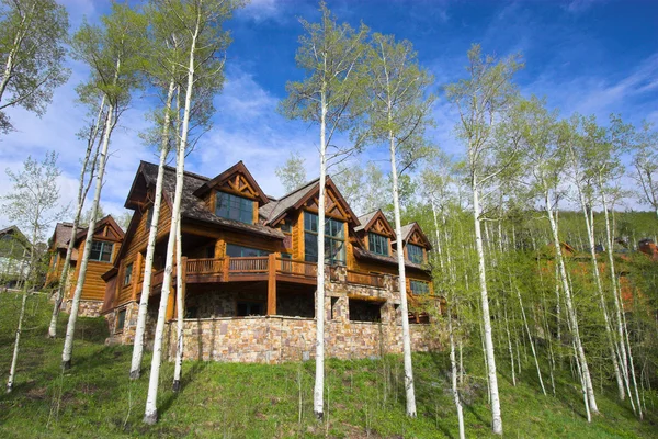 Mountain resort house