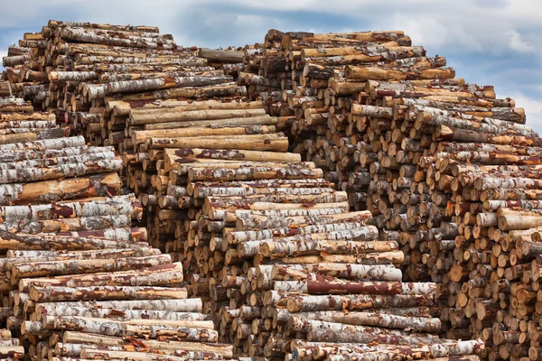 Big pile of logs