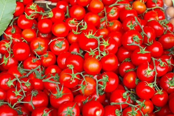 Tomatoes texture