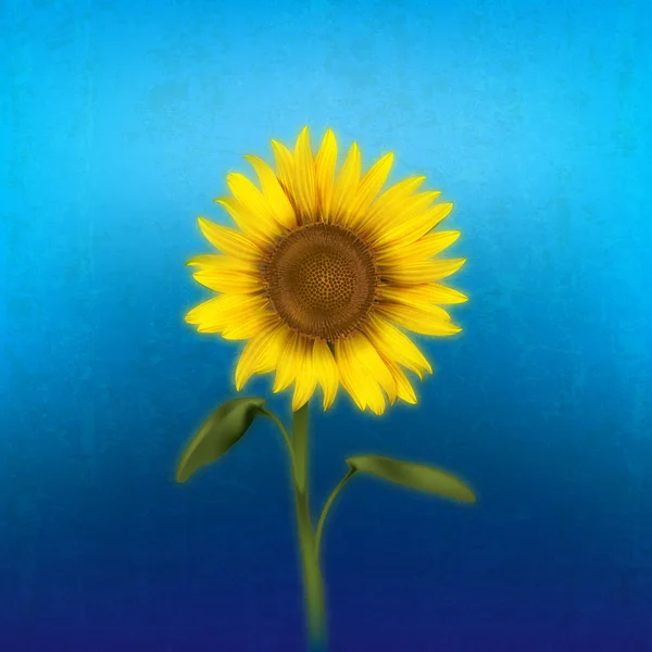 Grunge floral illustration with sunflower