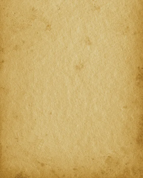 Blank Empty Grunge Vintage Photo Album Textured Page Background, Old Aged Stained Texture, Vertical Portfolio In Beige Sepia