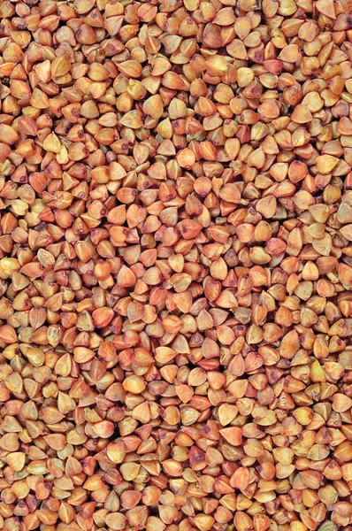 Raw buckwheat groats background, dry cereal seeds, large detailed textured macro closeup abstract grain texture vertical pattern