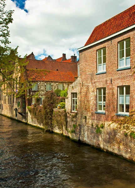 Houses along the canals