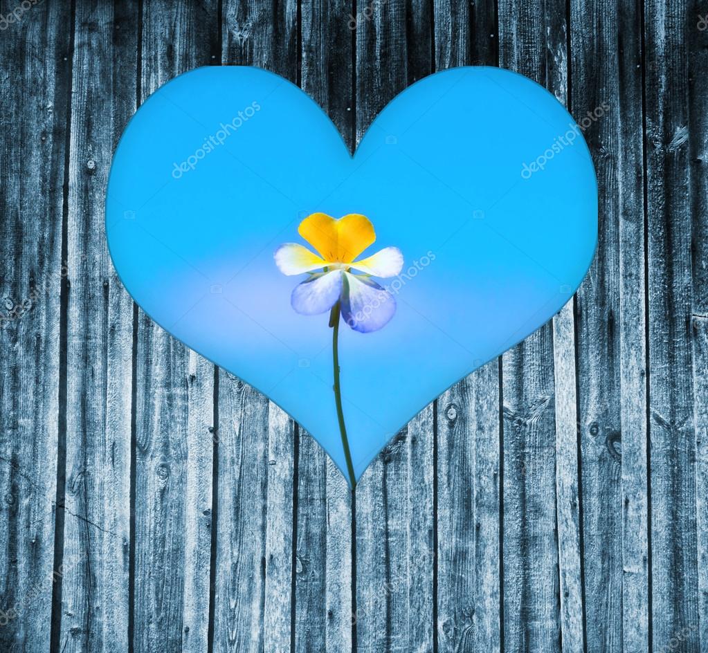 Finestra su una porta di legno ad un fiore a forma di cuore — foto ...