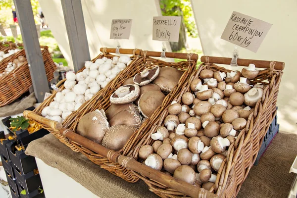 Farmers market mushrooms