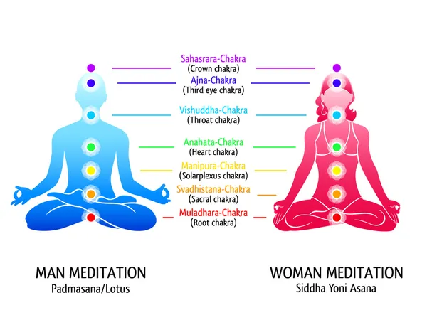 Yoga chakras diagram