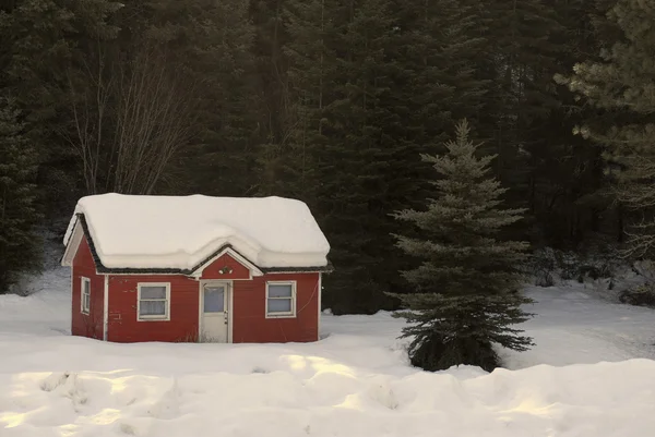 House Buried in Snow