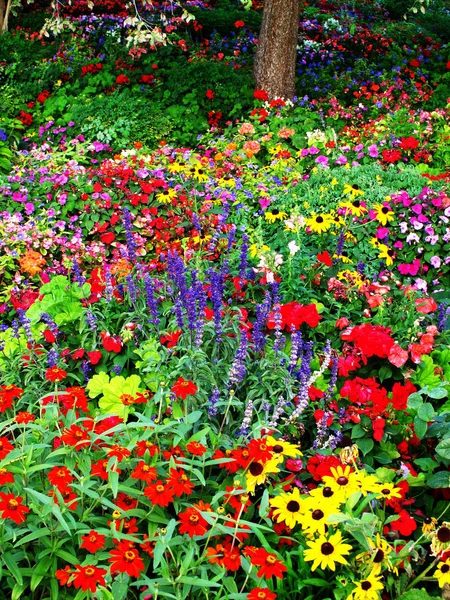 Flower Garden