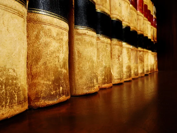 Old Leather Books on Shelf