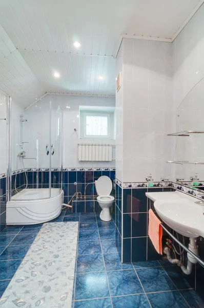 Bathroom in a modern cottage