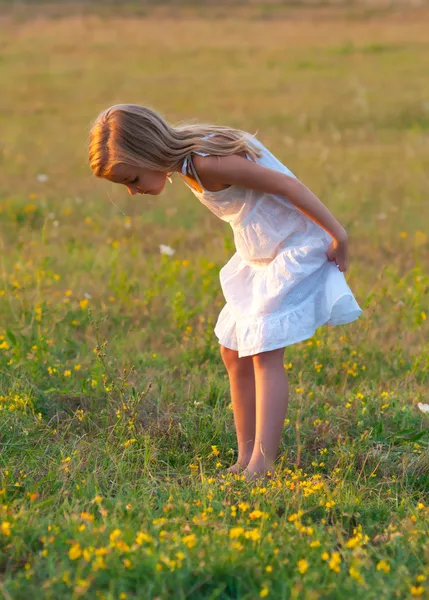 Cute little girl in white dress exploring the meadow on sunny spring day
