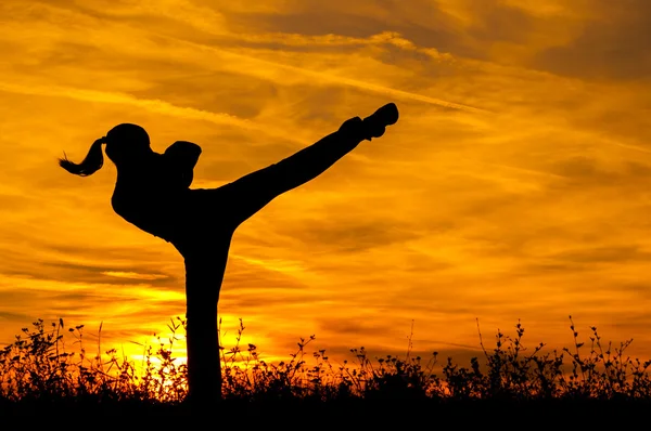 Silhouette of beautiful kick boxing girl exercising high kick in the nature on sunny summer day.