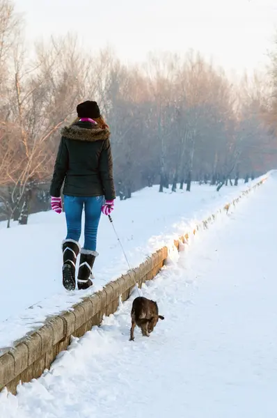 Girl walking the dog in winter