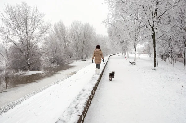 Girl walking the dog on snowy winter day