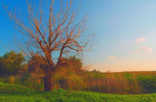 Landscape painting showing lonely tree on the meadow