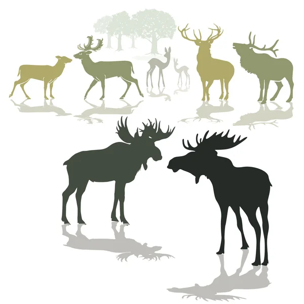 Elk, deer and fawn