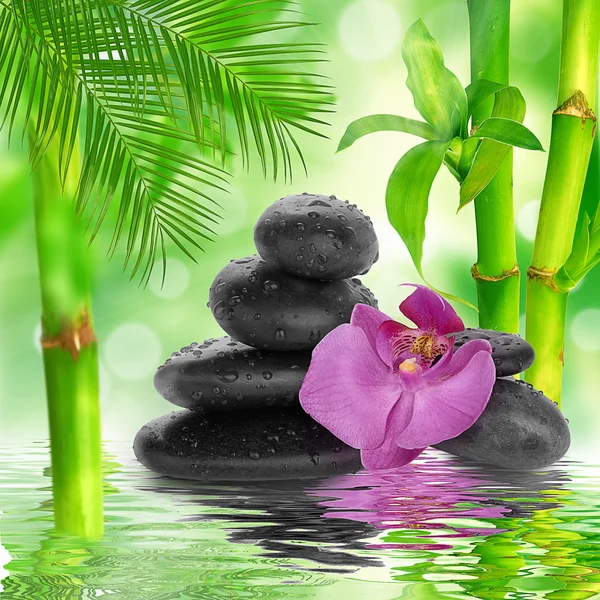 Spa Background - black stones and bamboo on water