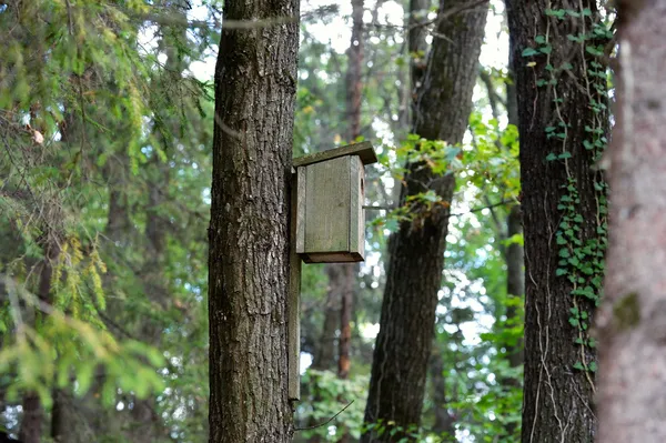 Bird house hanging on a tree