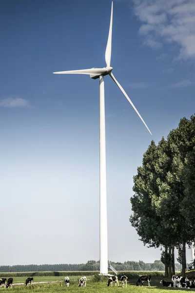 Modern windmill in a meadow