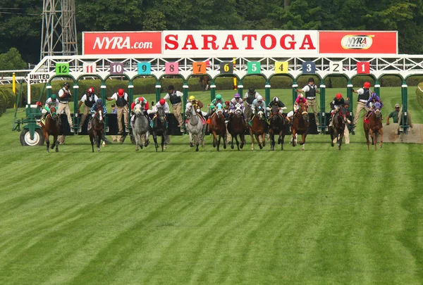 And They\'re Off Down the Turf Course!