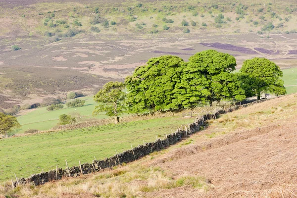 北部约克停泊国家公园,北部约克郡,英格兰 - 图