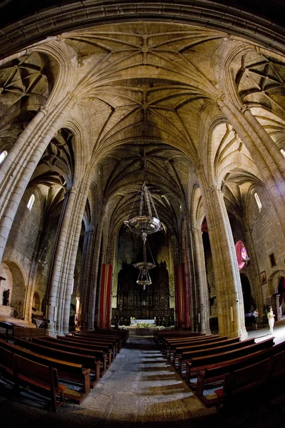 Interior of Cathedral of Santa Maria, Caceres, Extremadura, Spai — Stock Photo #21563675