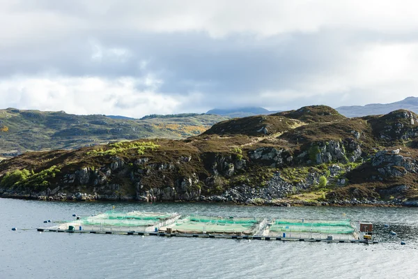 Salmon farm, Loch a Chairn Bhain, Highlands, Scotland