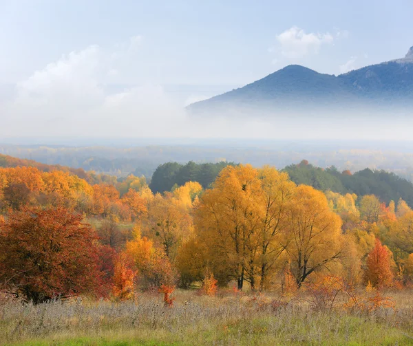 Autumn scene with mountains in fog