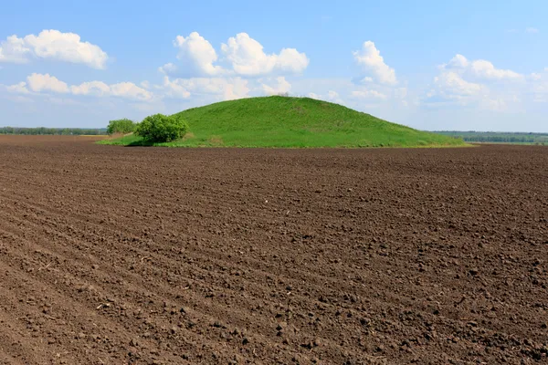 Green hill on field