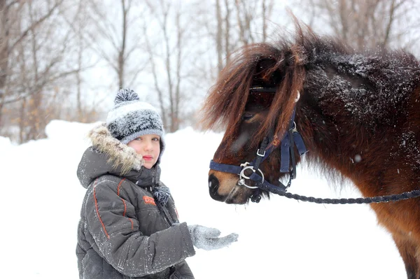 Feeding horse