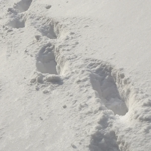 Snow footsteps