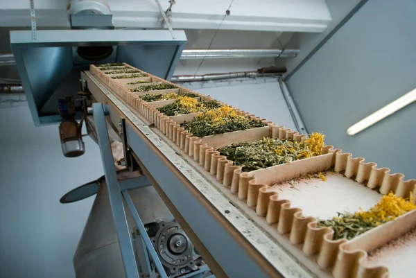 Tea production line