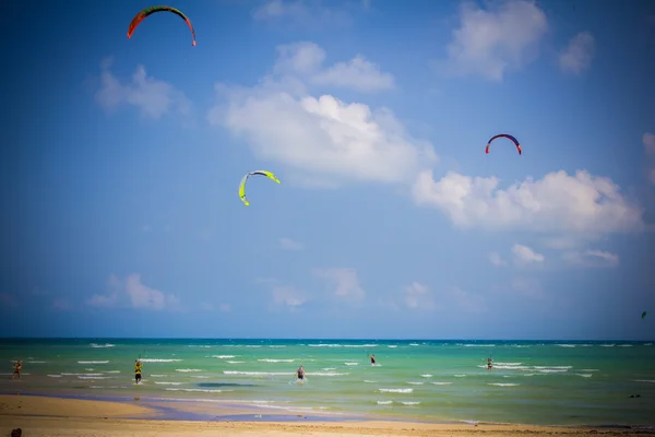 People kite surfing near the beach