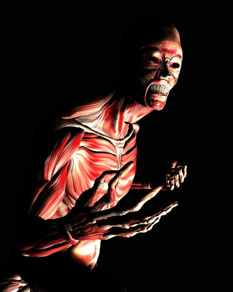 Anatomical horror body