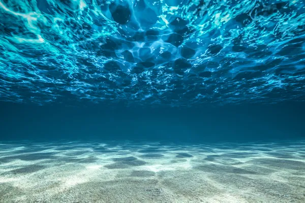 Ocean bottom, view beneath surface