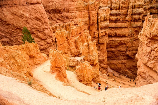 Navajo Loop Trail in Bryce Canyon