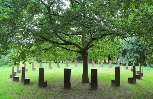 Circle of chairs around a tree
