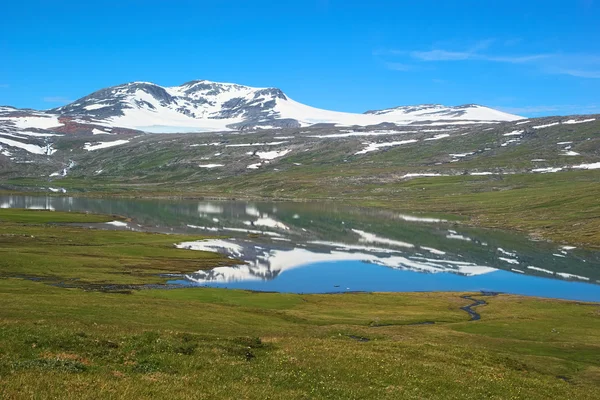 Summer Fjell Landscape in Norway