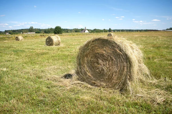 Landscape with many hay rolls on cultivate field