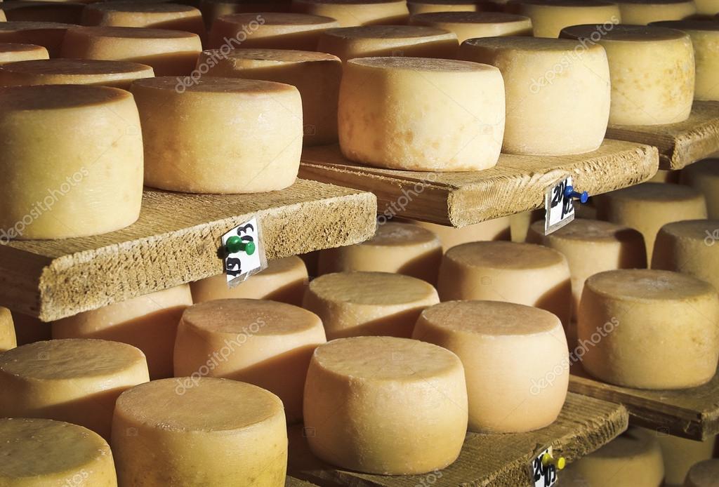 cheese ripening thesis cheese ripening thesis