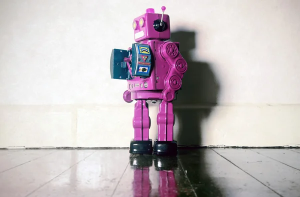 Robot toy