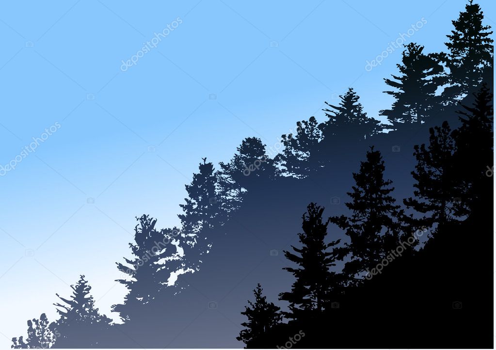 Forest pine tree — Stock Vector © dagadu #5723867