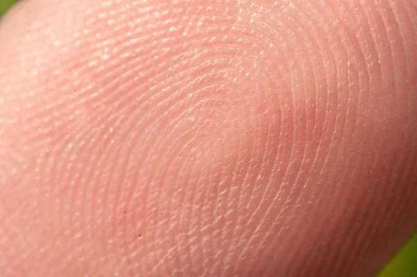 Close-up of human finger fingerprint